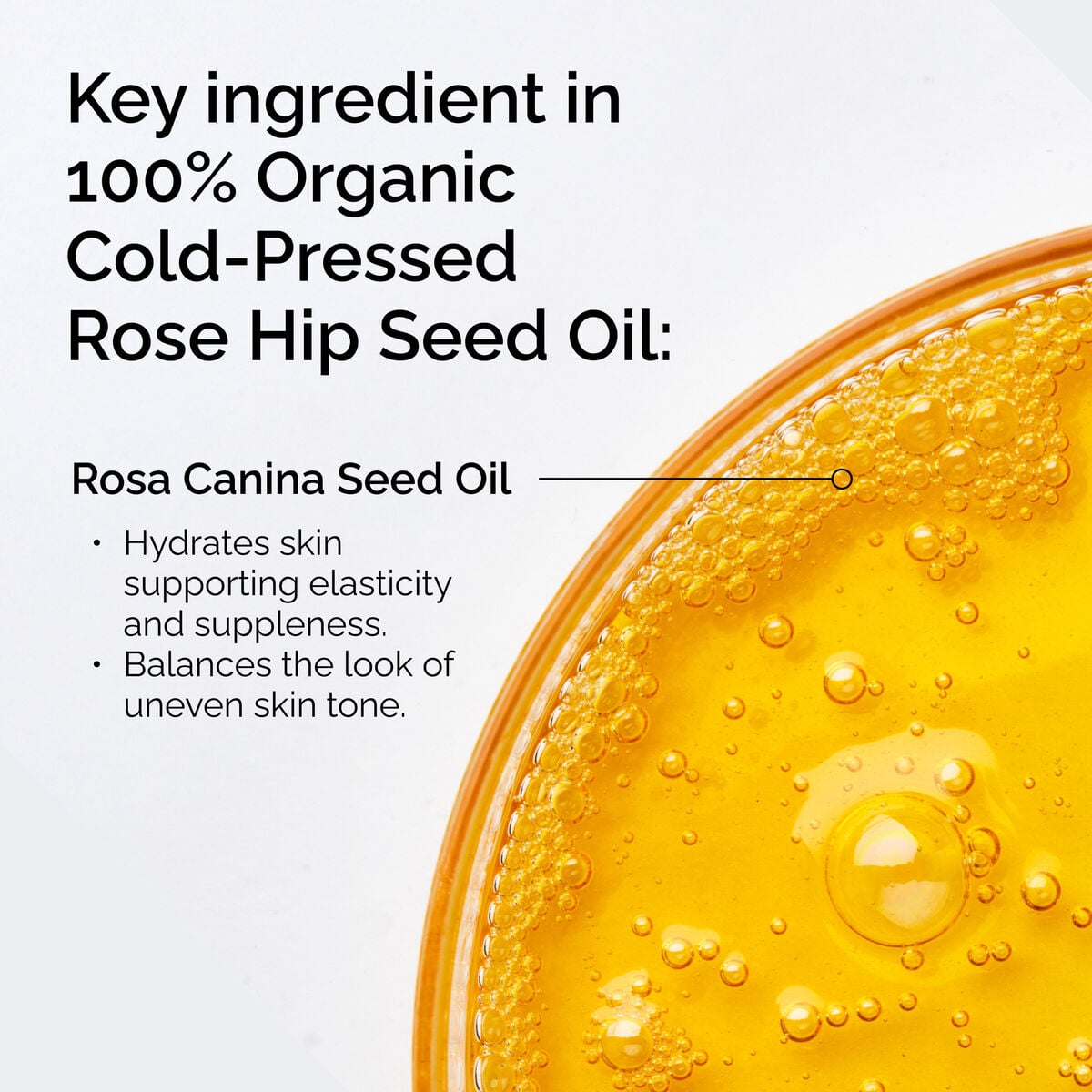100-organic-cold-pressed-rose-hip-seed-oil-t5 FY25-D41247-ORD-Web-PDP-100-Rose-Hip-Oil-1x1-EN-2.jpg