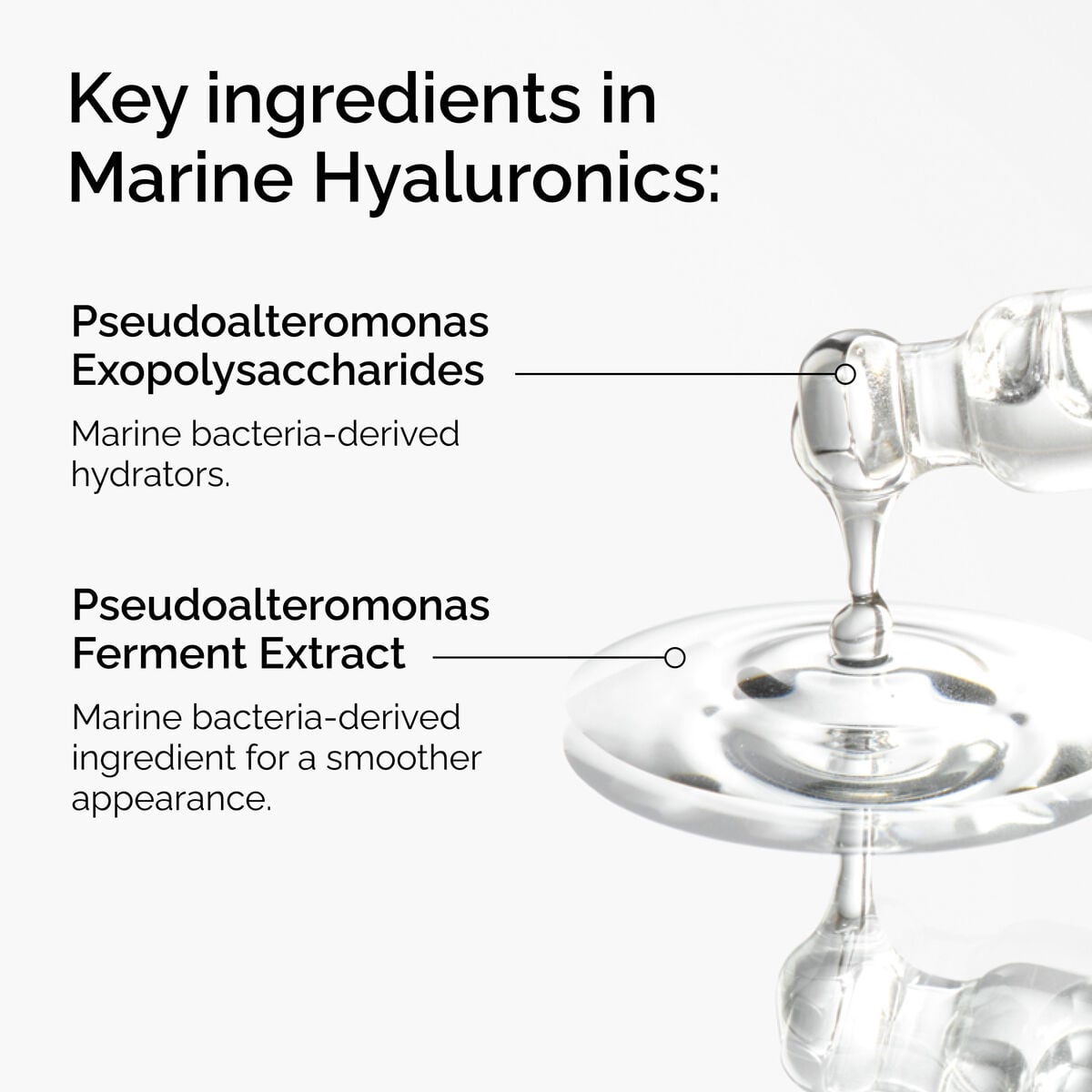 marine-hyaluronics-p4 FY25-D41247-ORD-Web-PDP-Marine-Hya-1x1-EN-2a.jpg