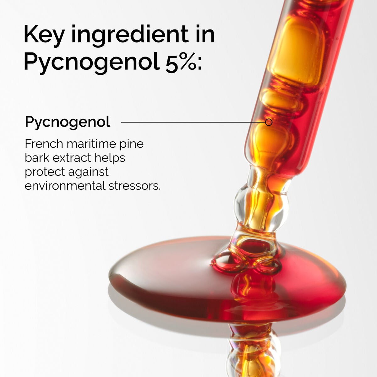 pycnogenol-5-i5 FY25-D41247-ORD-Web-PDP-Pyc-5pct-1x1-EN-2a.jpg