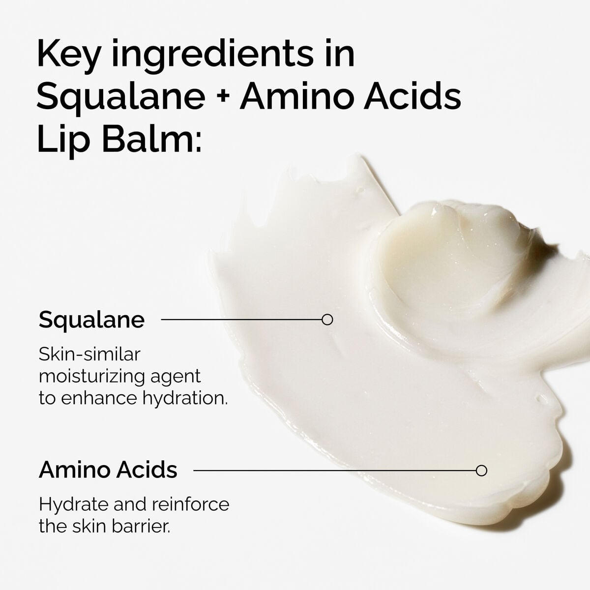 squalane-amino-acids-lip-balm-d3 FY25-D41247-ORD-Web-PDP-Sql-Amino-Lip-1x1-EN-2a.jpg