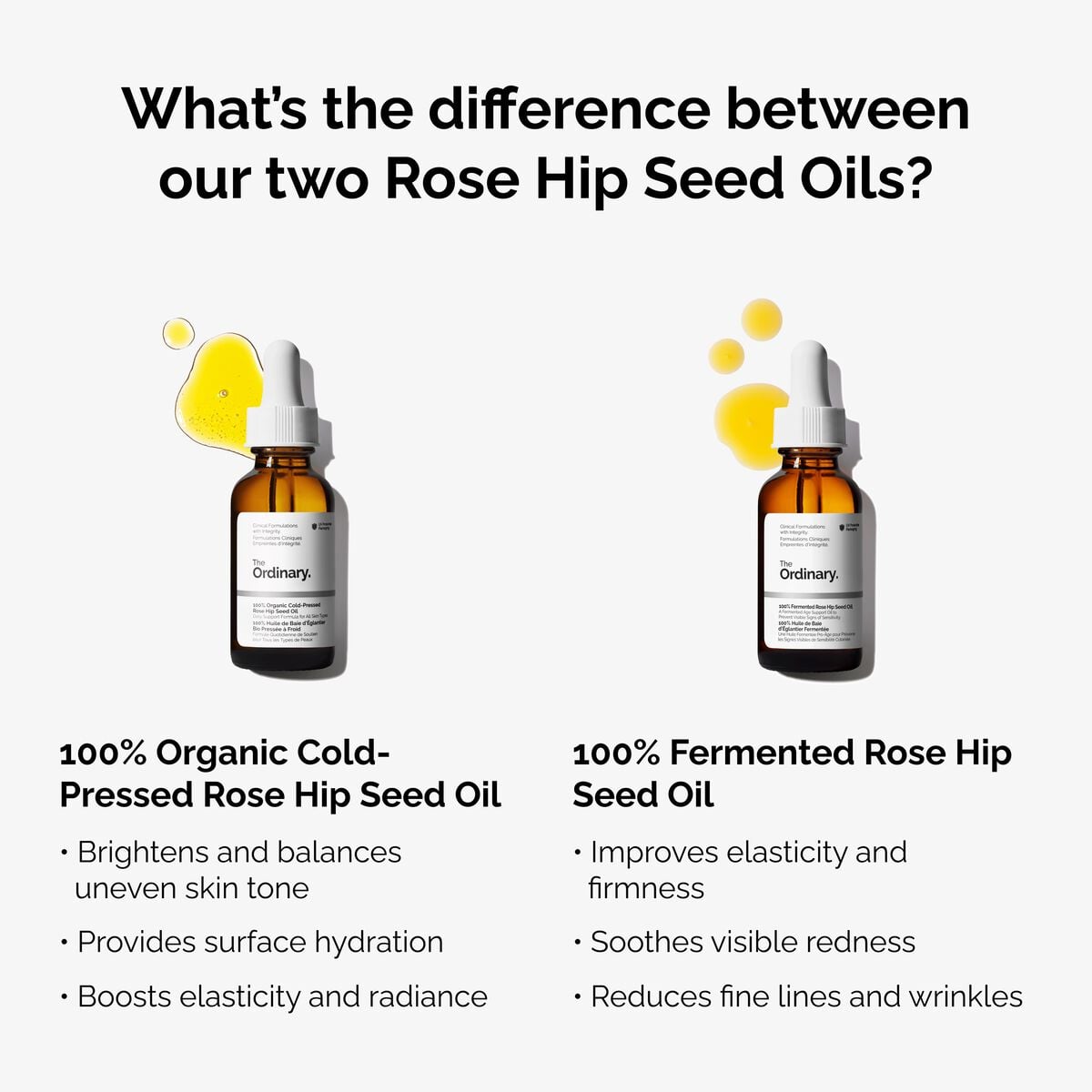 100-fermented-rose-hip-seed-oil-h1 fermented-rose-hip-vs-organic-rose-hip-graphic.jpg