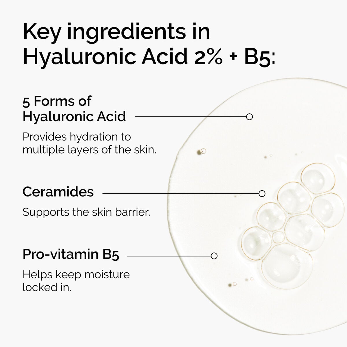 hyaluronic-acid-2-b5-with-ceramides-n0 ord-hyaluronic-acid-2pct-b5-hydrating-serum-ingredients-graphic.jpg