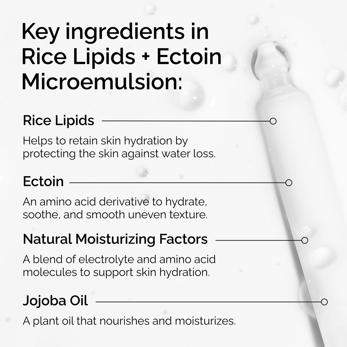 rice-lipids-ectoin-microemulsion-h4 ord-rice-lipids-ectoin-microemulsion-key-ingredients.png