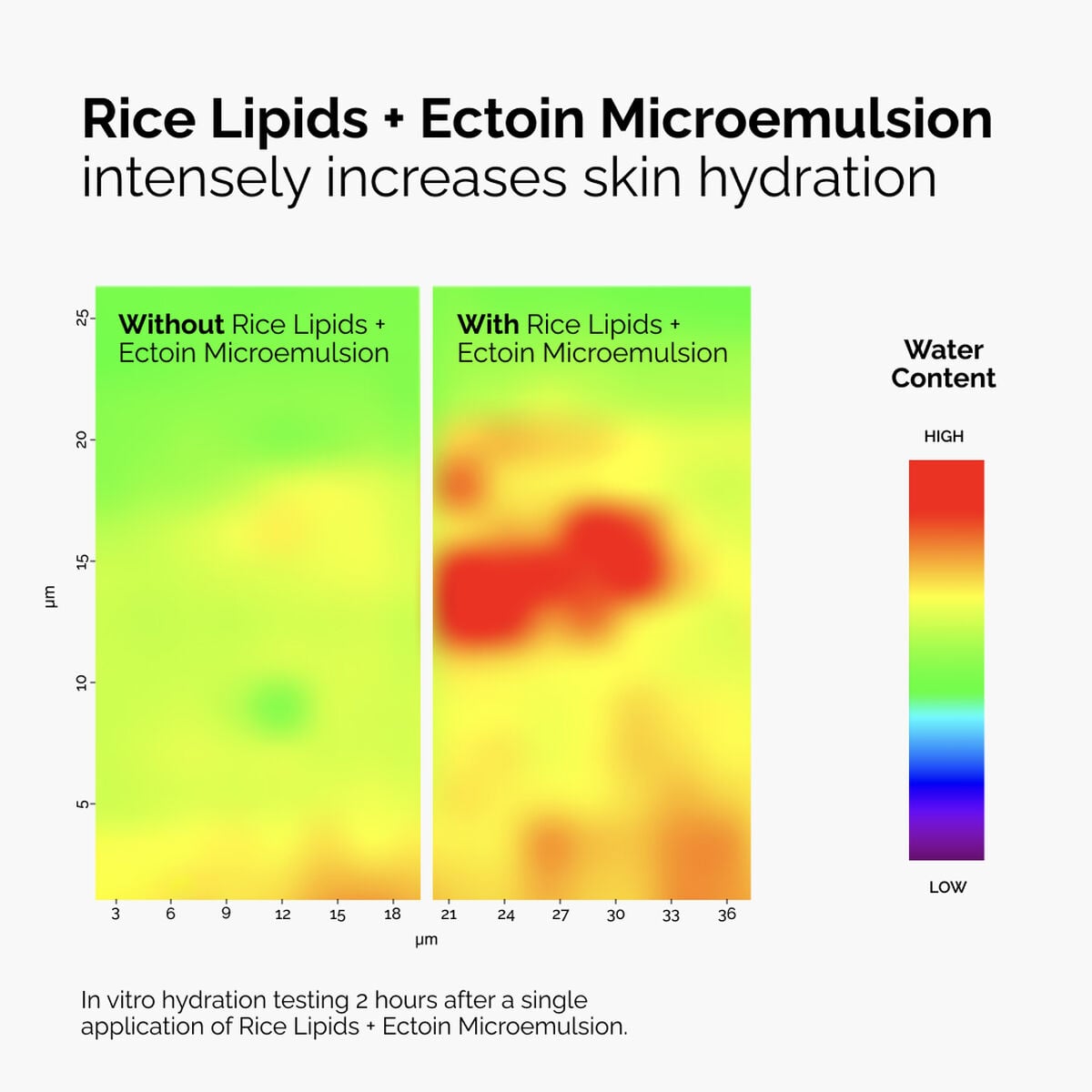 rice-lipids-ectoin-microemulsion-h4 ord-rice-lipids-ectoin-microemulsion-thermal-before-after.jpg